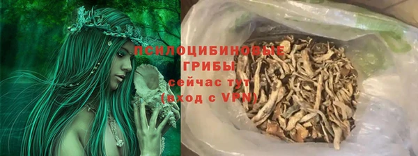 дурь Долгопрудный